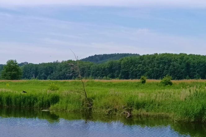 Tramwaj wodny Szczecin - Mescherin - Gartz