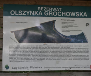 Kolejarze zabiorą mieszkańcom jedyne dojście do rezerwatu. Nie ma pieniędzy na tunel pod torami