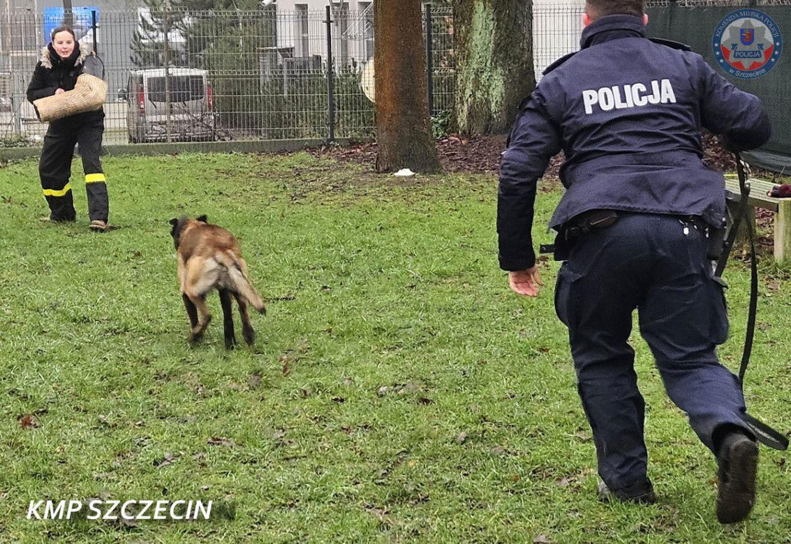 Nowe psy w zachodniopomorskiej policji