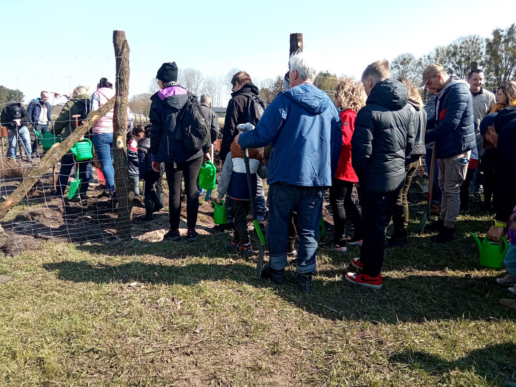 Akcja "Grudziądzanie sadzą las"!