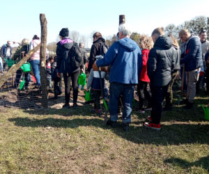 Akcja Grudziądzanie sadzą las!