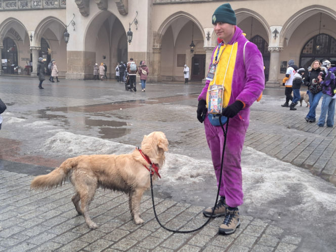 34. finał WOŚP w Krakowie. Golden Retrievery na Rynku Głównym