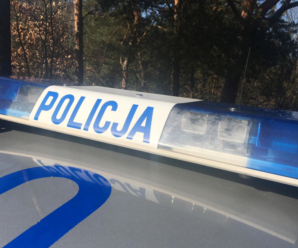 policja