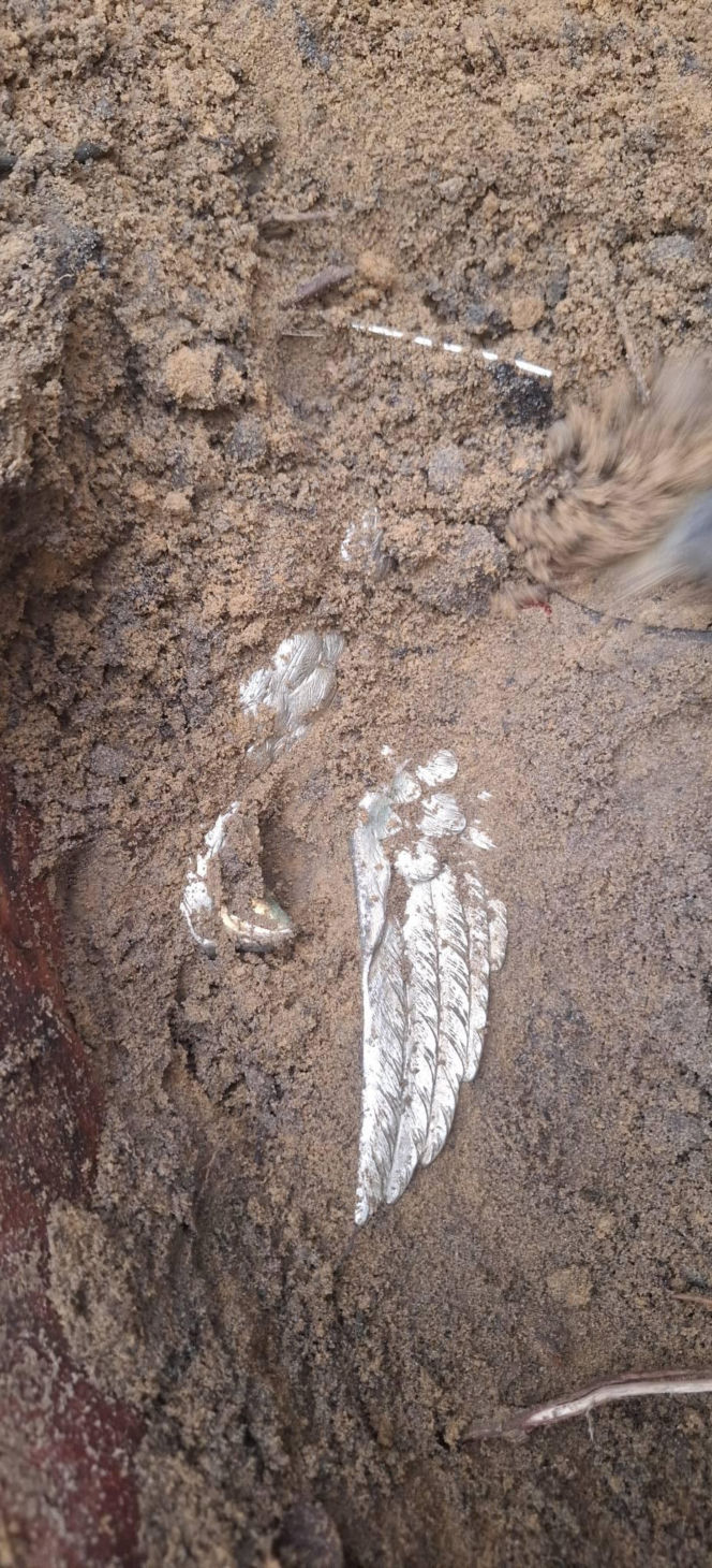 Sensacyjne odkrycie w starachowickim lesie! Pod ziemią przeleżało ponad 80 lat