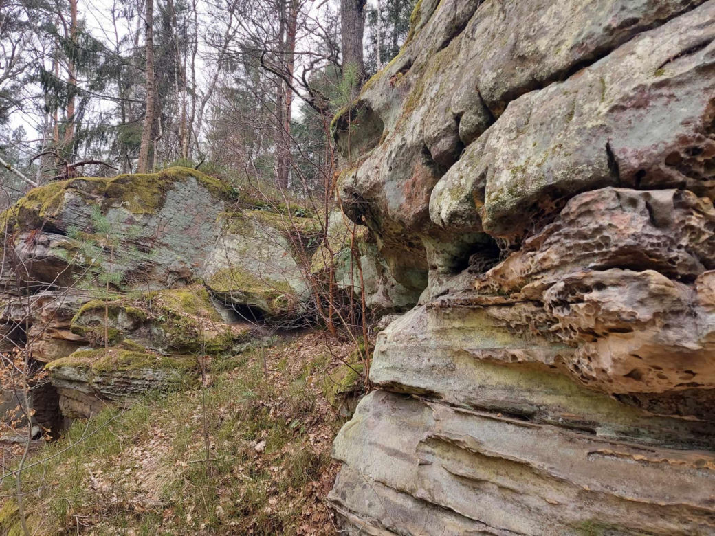 Rezerwat Przyrody "Skały pod Adamowem"