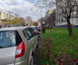 Dzikie parkowanie w katowickiej dzielnicy Koszutka. Mieszkańcy mają dość
