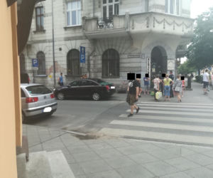 O włos od tragedii na Bydgoskim Przedmieściu w Toruniu - psiak wypadł z trzeciego piętra