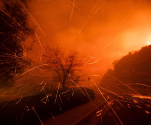 Nagrał tajemnicze słowa pani burmistrz, chodzi o pożary. Czytaj między wierszami