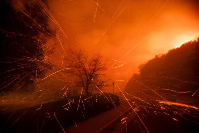 Nagrał tajemnicze słowa pani burmistrz, chodzi o pożary. "Czytaj między wierszami"