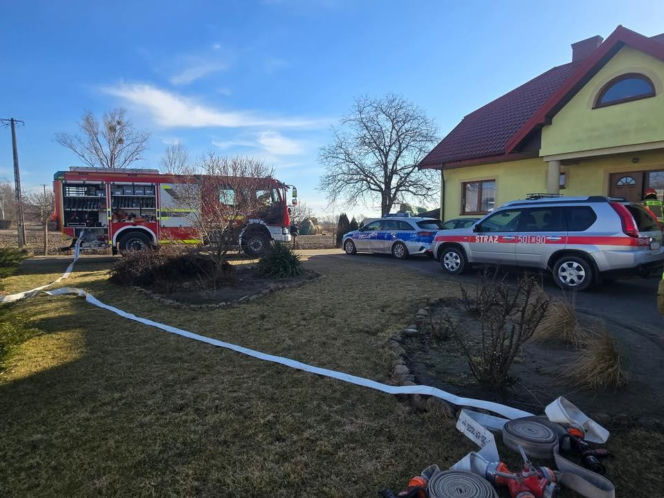 Krowa zaatakowała kobietę! Na miejscu lądował śmigłowiec LPR