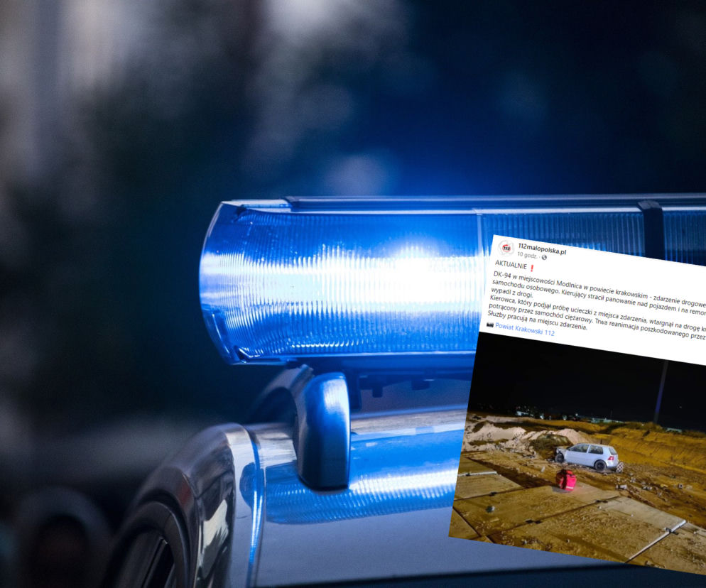 Wyszedł z auta po wypadku. Potem wtargnął na drogę krajową i zginął pod kołami TIR-a