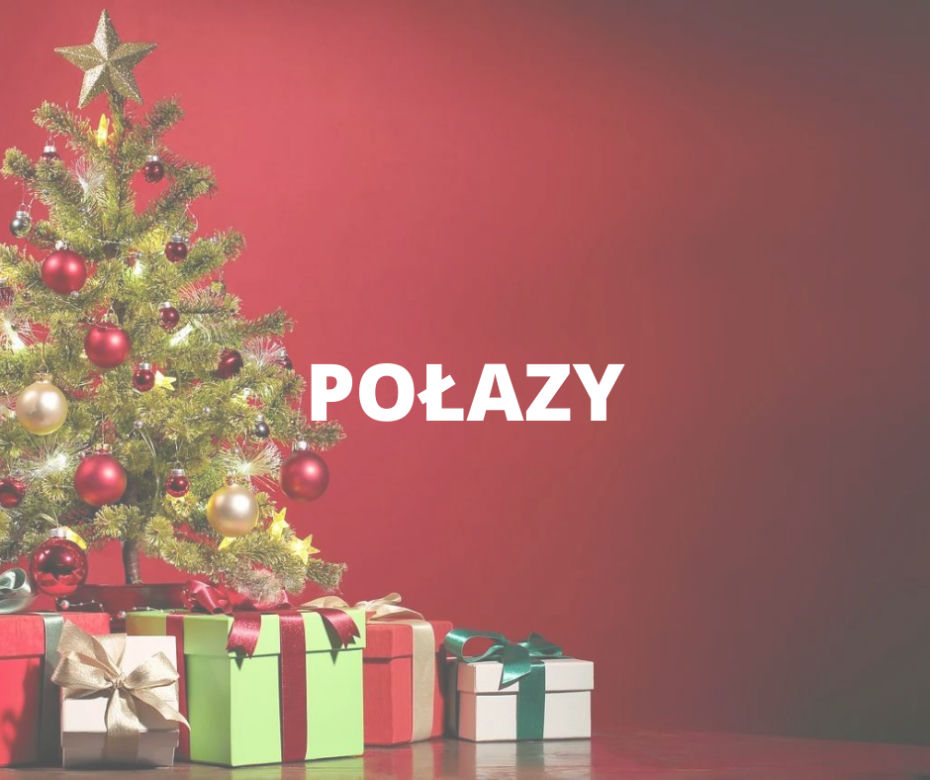 Śląski Słownik Bożonarodzeniowy. Te wyrazy warto zapamiętać! [ZDJĘCIA]