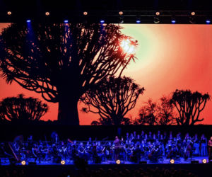 Visual Concert