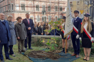 Zostawili listy potomnym i zasadzili drzewo. Święto Drzewa w Lublinie [GALERIA]