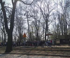 Pandy w Ogrodzie Zoobotanicznym w Toruniu