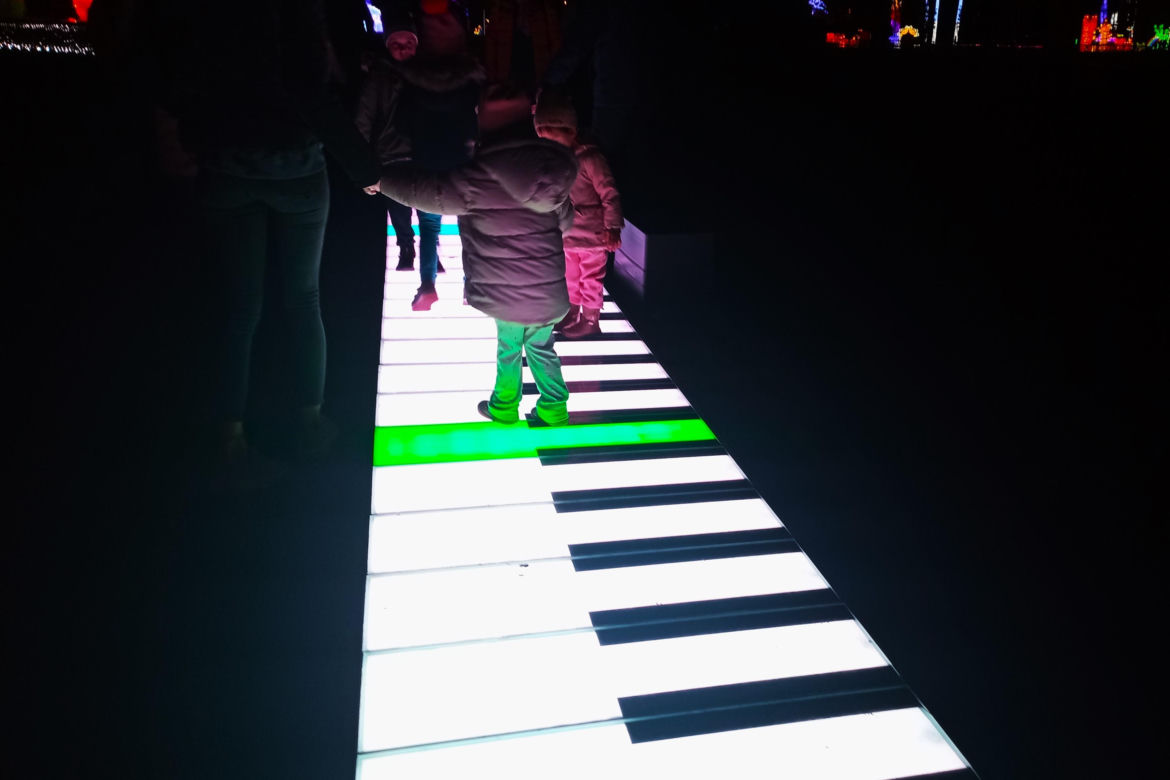 Garden of Lights w Szczecinie
