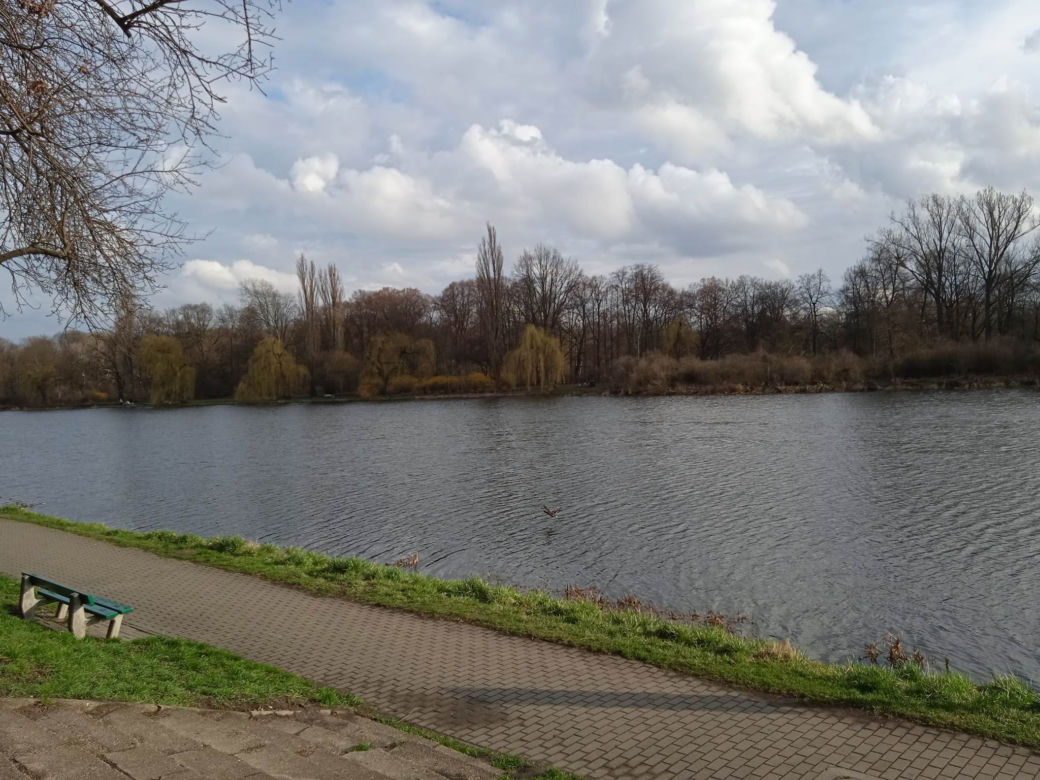 Park Skaryszewski