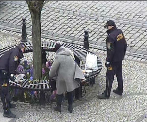 Kołobrzeg. Odłożyła zakupy i zanurkowała w klombie. 