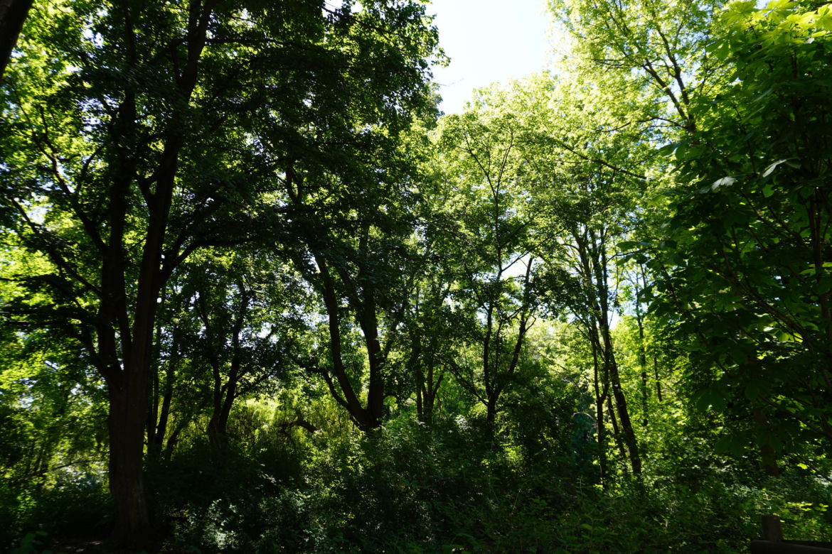 Park Sołacki w maju 2024