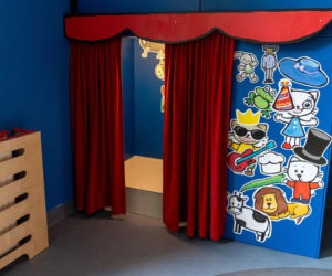 Pierwsze w Polsce muzeum Kici Koci