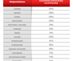 Wszystkich Świętych 2020. Gdzie możesz spodziewać się mandatu? Drogi krajowe i wojewódzkie