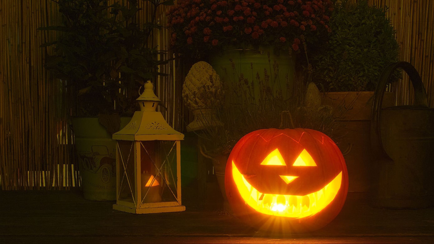 Dynia na Halloween. Jak zrobić krok po kroku? Straszne i śmieszne wzory [GALERIA]