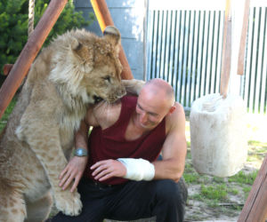 Lew Simba