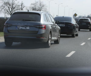 Jarosław Kaczyński szykuje się do świąt. Prezes PiS z kolorową palmą