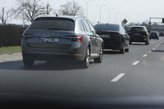 Jarosław Kaczyński szykuje się do świąt. Prezes PiS z kolorową palmą