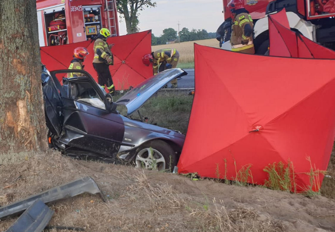 Śmiertelny wypadek pod Zgierzem. Dwóch mężczyzn zginęło w roztrzaskanym BMW. Policja szuka świadków 