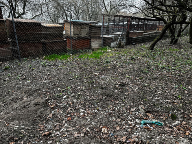 Zabrali dzieciom psa jak rzecz