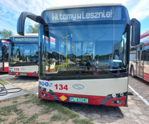 Przyjechały! MZK w Lesznie ma autobusy elektryczne