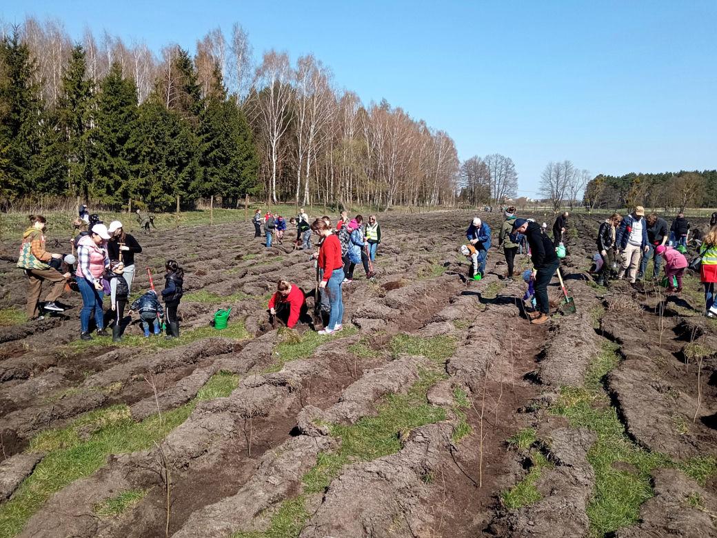 Akcja "Grudziądzanie sadzą las"!