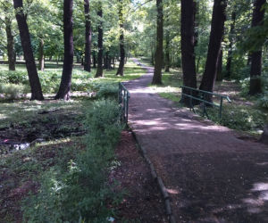 Park Tysiąclecia w Toruniu czekają spore zmiany