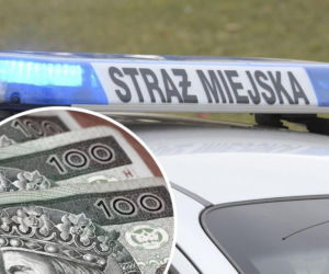 Straż Miejska ostrzega. 500 zł kary to dopiero początek! To może się skończyć wysokim odszkodowaniem