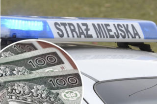 Straż Miejska ostrzega. 500 zł kary to dopiero początek! To może się skończyć wysokim odszkodowaniem