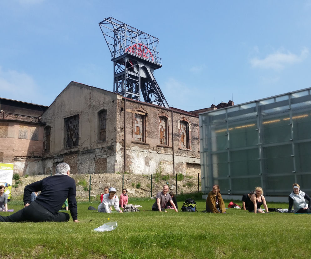 Joga Muzeum Śląskie