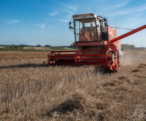 206 mln euro dla rolników. Od początku 2026 r. nowe zasady wsparcia na wodę