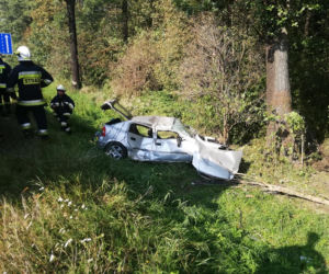 Koszmarny wypadek pod Łodzią. Kierowca stracił przytomność