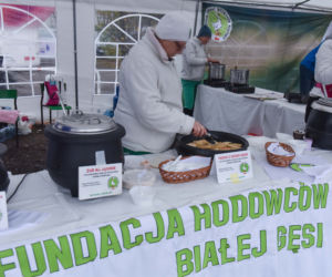 Toruńskie święto gęsiny kusi setkami przysmaków regionalnych