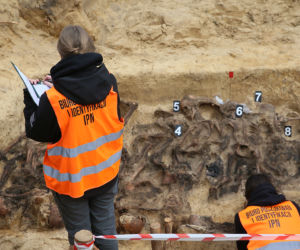 Historyczne znalezisko w warszawskim lesie. Doły śmierci na Białołęce. Wśród ofiar kobieta z długim warkoczem 