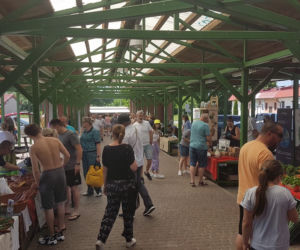 Bio bazar w Olsztynku