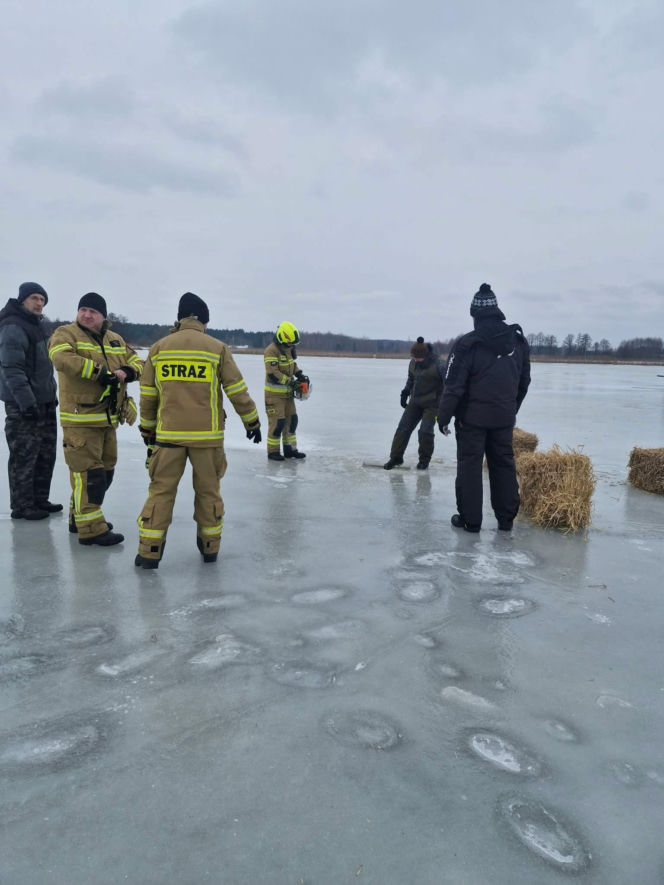 W akcji wykonywania przerębli pomagali druhowie OSP