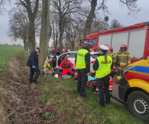 Wypadek w Nastajkach. Jaguar uderzył w drzewo. Kierowca trafił do szpitala! [ZDJĘCIA]