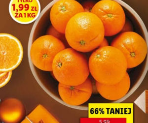 Lidl ostatnie promocje na święta