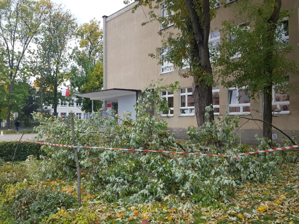 Strażacy (i piły) na pełnych obrotach