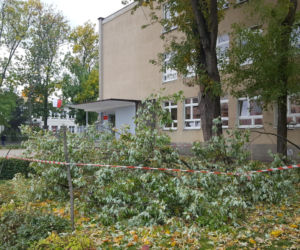 Strażacy (i piły) na pełnych obrotach