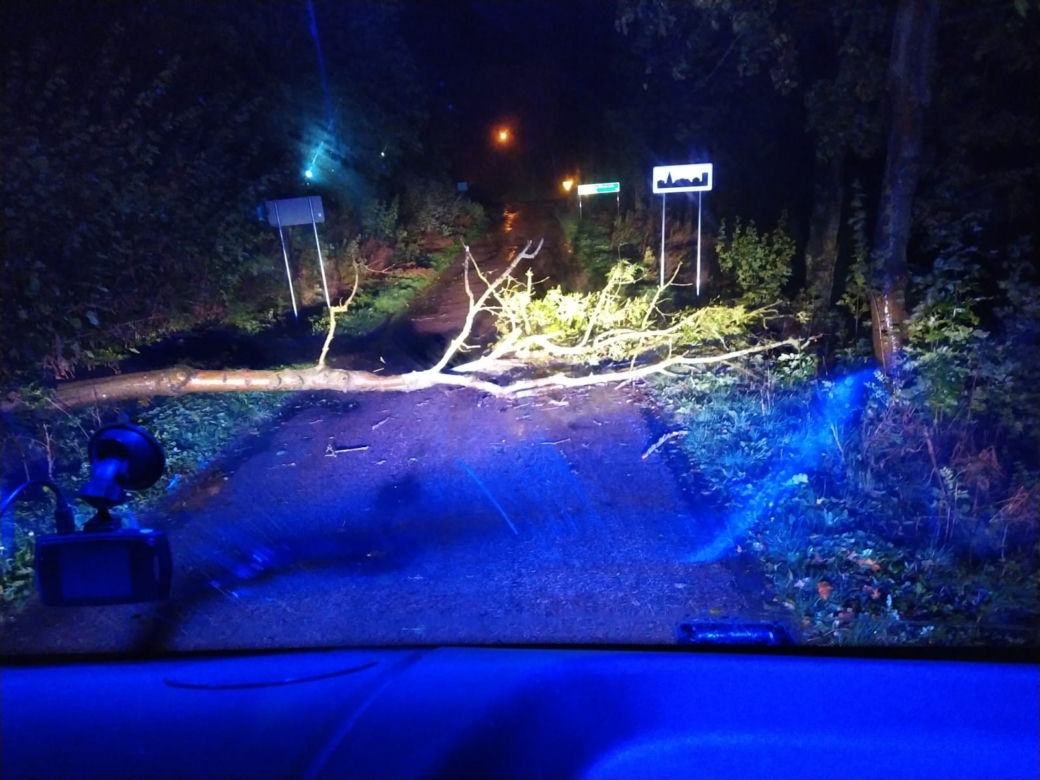 Interwencje strażaków z Grudziądza