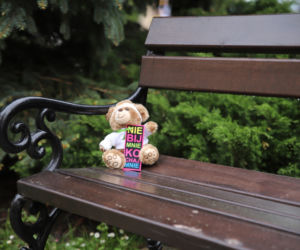 Na ulicach Ełku pojawiły się misie z przesłaniem. Można je przygarnąć [ZDJĘCIA]