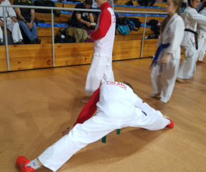 Mistrzostwa Karate Kyokushin w Dąbrowie Górniczej